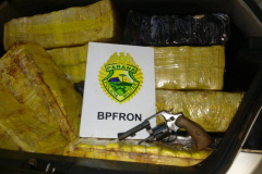 Ações da Operação Hórus no Oeste do estado resulta na apreensão de mais de 171 quilos de maconha