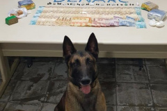 PCPR prende casal suspeito de vender drogas no Centro de Curitiba