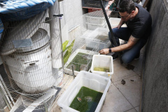 PCPR resgata cerca de 400 animais no primeiro semestre de 2020 