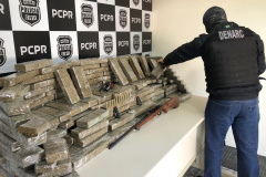 Denarc apreende 200 quilos de maconha em chácara na RMC 