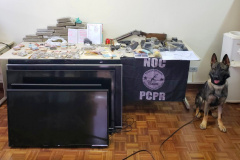  Cães apreendem mais drogas neste ano que a soma de 2018 e 2019