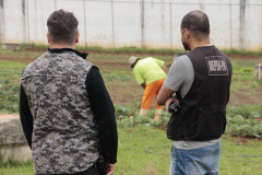 Paraná recebe selo nacional por oferta de atividades profissionais aos presos