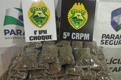 Ações distintas da Operação Metrópolis resulta na apreensão de 15 quilos de maconha no Oeste do estado