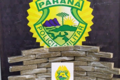 Durante patrulhamento, PM prende homem e apreende 40 tabletes de maconha em Curitiba