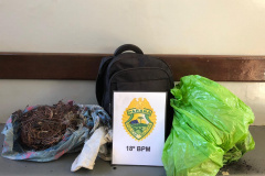 Em menos de 24 horas, 18º Batalhão apreende drogas, arma de fogo e encaminha 10 pessoas no Norte do estado