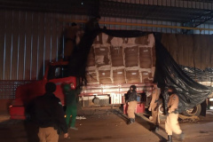 Durante a Operação Hórus, BPFron apreende mais de 600 quilos de maconha escondida em carga de algodão