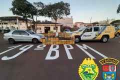 Mais de meia tonelada de maconha é apreendida em Toledo (PR) em abordagens distintas da PM