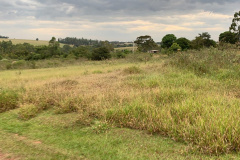 Políticas públicas de enfrentamento ao tráfico de drogas recebem reforço de R$ 100 mil
