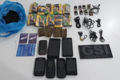 Agentes penitenciários de Cascavel impedem a entrada de 18 celulares em unidades prisionais
