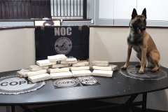 PCPR apreende dez quilos de cocaína e dez de crack em Curitiba 