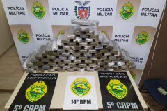 Com a Operação Metrópolis, PM prende 108 pessoas e apreende mais de 400 quilos de maconha