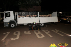 PM verifica denúncia em sítio e descobre 490 quilos de maconha, armas e cigarros contrabandeados em Toledo (PR)