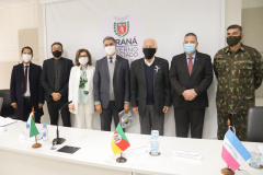 Encontro Técnico de Alinhamento sobre a Operação de Segurança das Eleições 2020 Regiões Sul e Sudeste