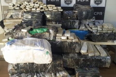 PCPR e PRF apreendem 1,2 tonelada de maconha em Juranda