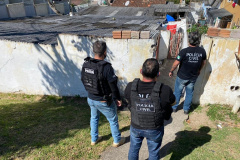 Polícia Civil identifica homem que matou, assou e comeu cachorro em Curitiba   