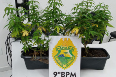 Em Paranaguá, PM prende dupla por envolvimento com tráfico de drogas