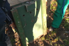 Ação integrada resgata onça-parda encontrada em área residencial de São José dos Pinhais, na RMC