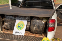  Mais de 150 quilos de maconha são apreendidos pelo BPRv no Oeste e Noroeste do estado 