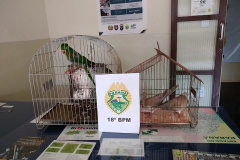 No Norte do estado, PM prende dois homens e apreende um revólver e três aves após denúncia