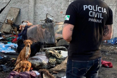 Polícia Civil resgata aproximadamente 20 cães de casa incendiada em Curitiba