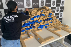 PCPR apreende 208 quilos de maconha em Palmeira