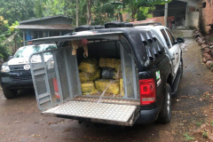 Polícia Civil apreende 537 quilos de maconha em Foz do Iguaçu 