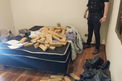 Polícia Civil apreende 142 quilos de maconha em Maringá