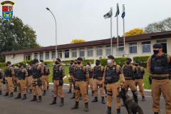 Operação Bate Grade na Cadeia Pública de Pato Branco resulta em celulares e ferramentas