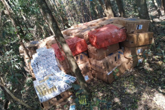 BPFron apreende R$ 175 mil em cigarros contrabandeados no oeste do Paraná