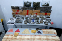 Denúncia auxilia PM a apreender 58 pés de maconha na RMC