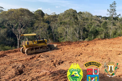 Desmatamento em área de preservação ambiental em Piraquara, na RMC, é flagrado pela PM e por agentes da prefeitura