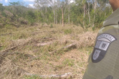 Multas por crimes ambientais somam R$ 2,5 milhões em oito dias