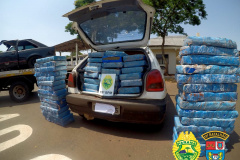 PM apreende quase 900 quilos de maconha no Oeste do estado