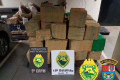 PM apreende 1,1 tonelada de maconha no domingo pela Operação Metrópolis