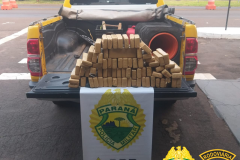 BPRv apreende mais de 50 quilos de maconha e um revólver em situações distintas