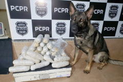  PCPR, PRF e PMPR apreendem 85 quilos de crack e 19 quilos de cocaína em Cruzeiro do Oeste   