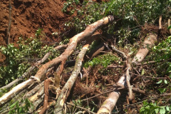 No Sudoeste, PM prende três pessoas por receptação e crime ambiental após denúncias