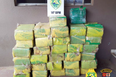 Mais de meia tonelada de maconha é apreendida pela PM no Oeste do PR