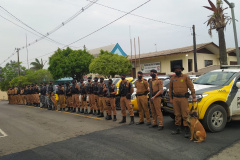 Operação Ogro Guaraní apreende 200 mudas de maconha e duas armas de fogo nos Campos Gerais