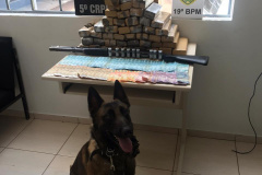 Durante a Operação Metrópolis, PM apreende 33,5 quilos de maconha e uma espingarda no Oeste do estado