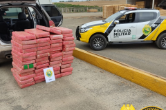 BPRv apreende mais de meia tonelada de maconha em Telêmaco Borba, nos Campos Gerais