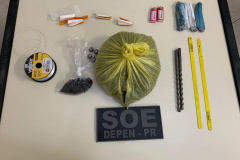 SOE apreende menor tentando arremessar drogas para dentro da PEF II