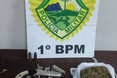 Em Ponta Grossa (PR), PM apreende três armas de fogo e 120 gramas de maconha em situações distintas
