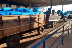 OPERAÇÃO HÓRUS: PCPR, PMPR e PF apreendem cigarros paraguaios avaliados em R$ 1 milhão