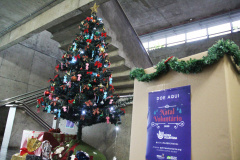  Sesp adere à campanha Natal Voluntário