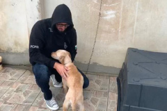 Polícia Civil prende homem por maus-tratos e resgata três animais em Curitiba  