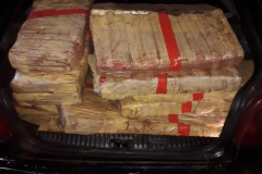 Mais de 200 quilos de maconha são apreendidos pela PM em Campo Mourão 