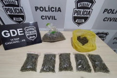 Polícia Civil prende nove pessoas suspeitas de envolvimento com o tráfico de drogas no Oeste
