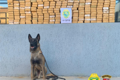 No Noroeste do estado, PM apreende mais de 200 quilos de crack e sete pessoas acabam presas em situações distintas