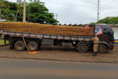 BPRv apreende quase 5,5 toneladas de maconha meio a carga de milho no Oeste do estado